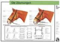 Die Zäumungen