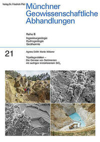 Tripellagerstätten – Die Genese von Sedimenten mit authigen kristallisiertem SiO2