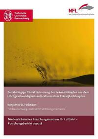 Zeitabhängige Charakterisierung der Sekundärtropfen aus dem Hochgeschwindigkeitsaufprall einzelner Flüssigkeitstropfen