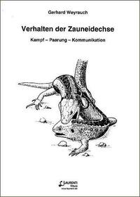 Verhalten der Zauneidechse