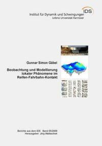 Beobachtung und Modellierung lokaler Phänomene im Reifen-Fahrbahn-Kontakt