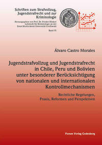 Jugendstrafvollzug und Jugendstrafrecht in Chile, Peru und Bolivien unter besonderer Berücksichtigung von nationalen und internationalen Kontrollmechanismen