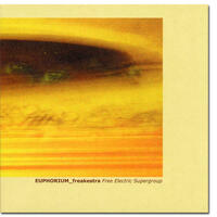 Free Electric Supergroup