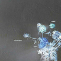 Untitled (London Leipzig Luzern)