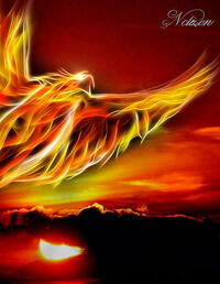 Fantasy Notizbuch: Phoenix - weiße Seiten mit Eckmotiv