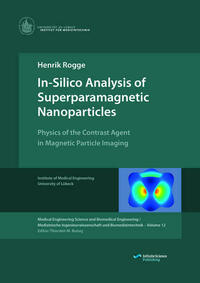 In-Silico Analysis of Superparamagnetic Nanoparticles