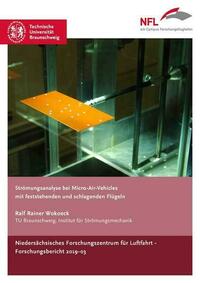 Strömungsanalyse bei Micro-Air-Vehicles mit feststehenden und schlagenden Flügeln