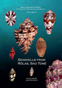 Seashells from Rólas, Sao Tomé