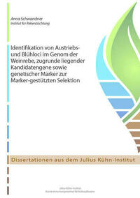 Identifikation von Austriebs- und Blühloci im Genom der Weinrebe, zugrunde liegender Kandidatengene sowie genetischer Marker zur Marker-gestützten Selektion