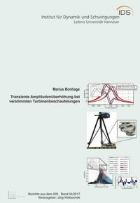 Transiente Amplitudenüberhöhung bei verstimmten Turbinenbeschaufelungen