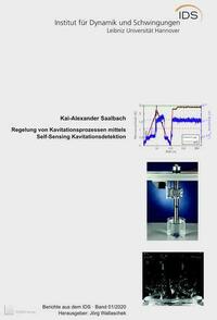 Regelung von Kavitationsprozessen mittels Self-Sensing Kavitationsdetektion