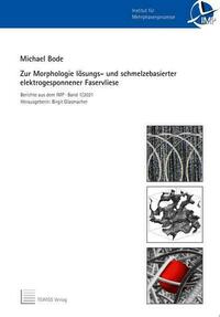 Zur Morphologie lösungs- und schmelzbasierter elektrogesponnener Faservliese