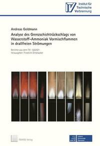 Analyse des Grenzschichtrückschlags von Wasserstoff-Ammoniak Vormischflammen in drallfreien Strömungen