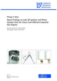 Novel Findings on Lube Oil Ignition and Piston Cylinder Unit for Future Fuel-Efficient Industrial Gas Engines