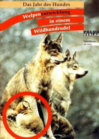 Welpenentwicklung in einem Wildhundrudel