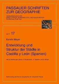 Entwicklung und Struktur der Städte in Castilla y León (Spanien)
