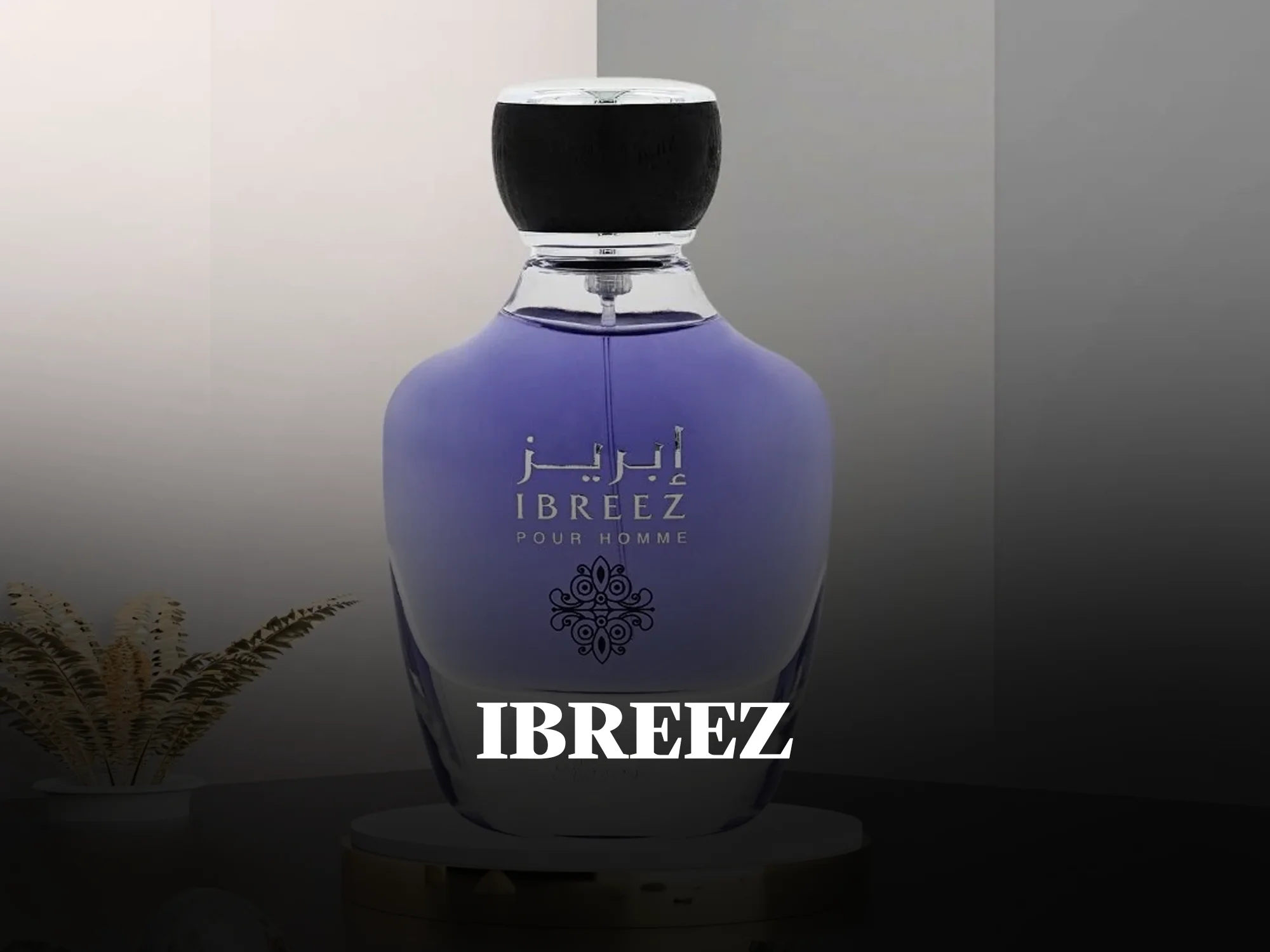 Ebreez Parfums products