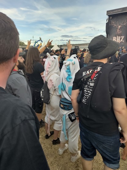 Festivalbesucher die die Geste der "Pommesgabel" zeigen.
In der Mitte zwei Menschen in Einhornkostümen