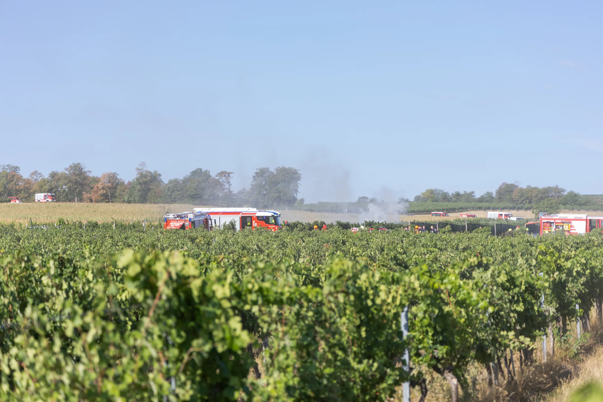 Gallery image 6 -  Zwei Tote bei Flugzeugabsturz bei Langenlois 
