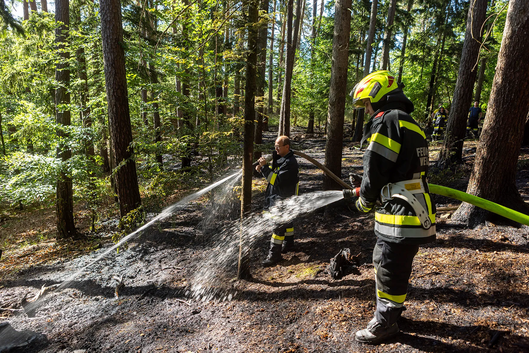 Gallery image 4 - Fünf Feuerwehren im Einsatz - Waldbrand in Nöhagen