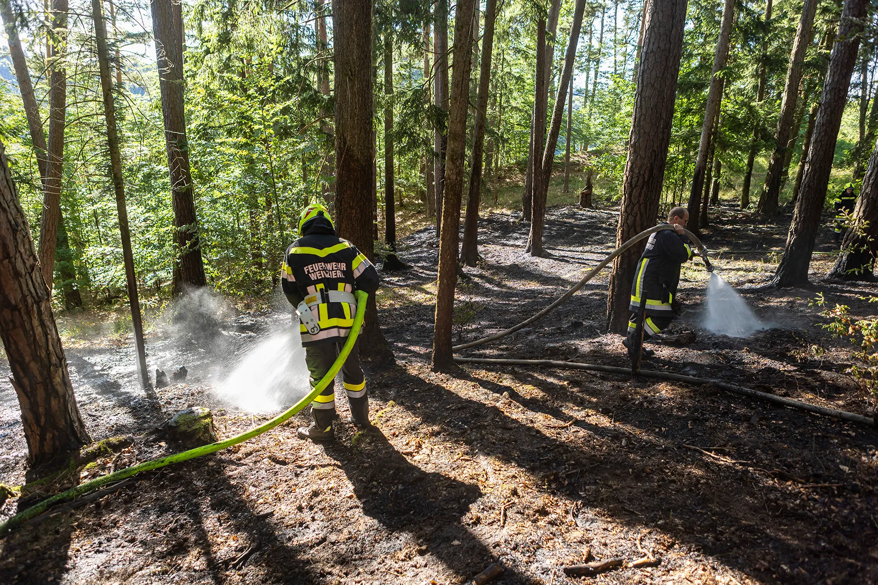 Gallery image 5 - Fünf Feuerwehren im Einsatz - Waldbrand in Nöhagen