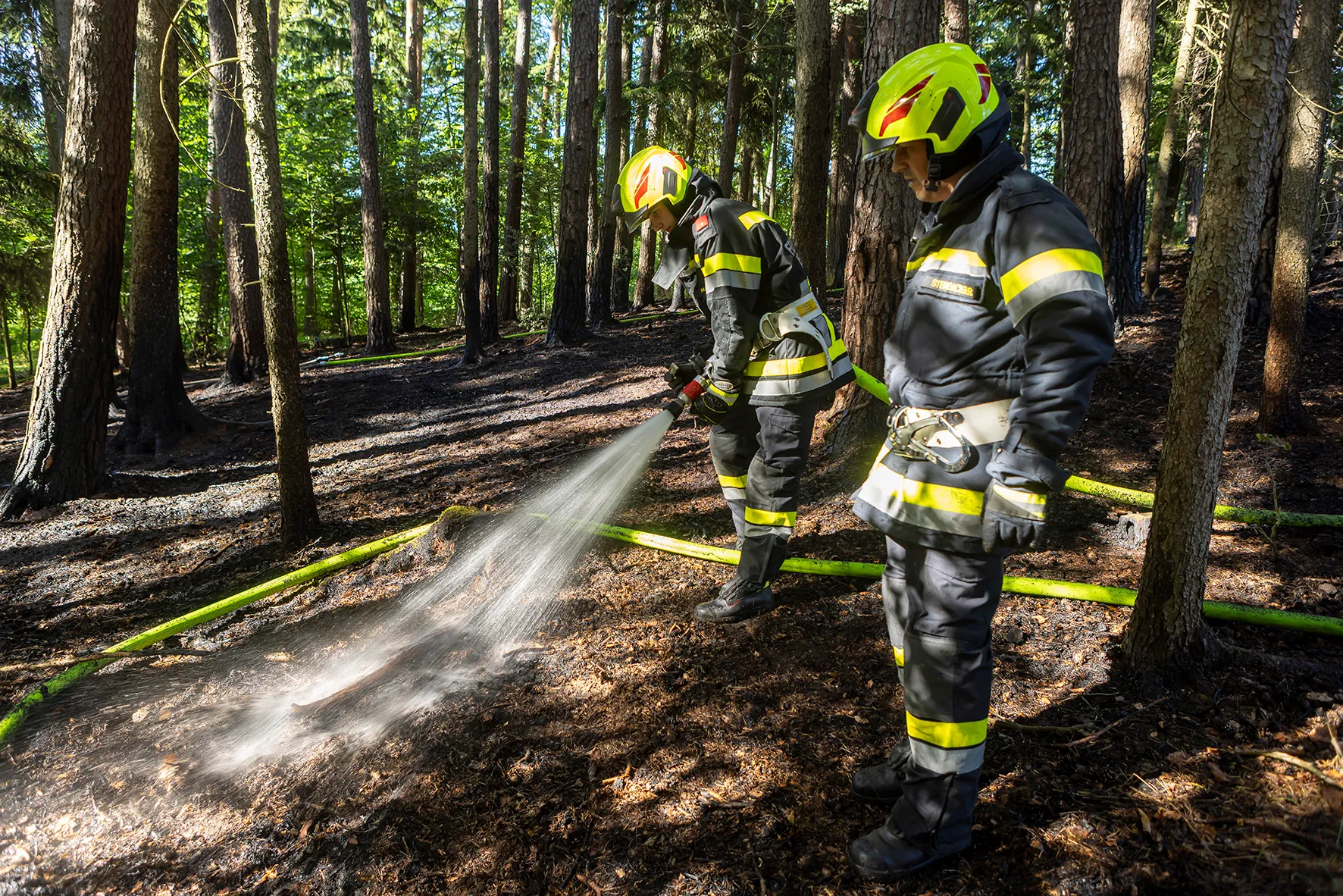 Gallery image 6 -  Fünf Feuerwehren im Einsatz - Waldbrand in Nöhagen 