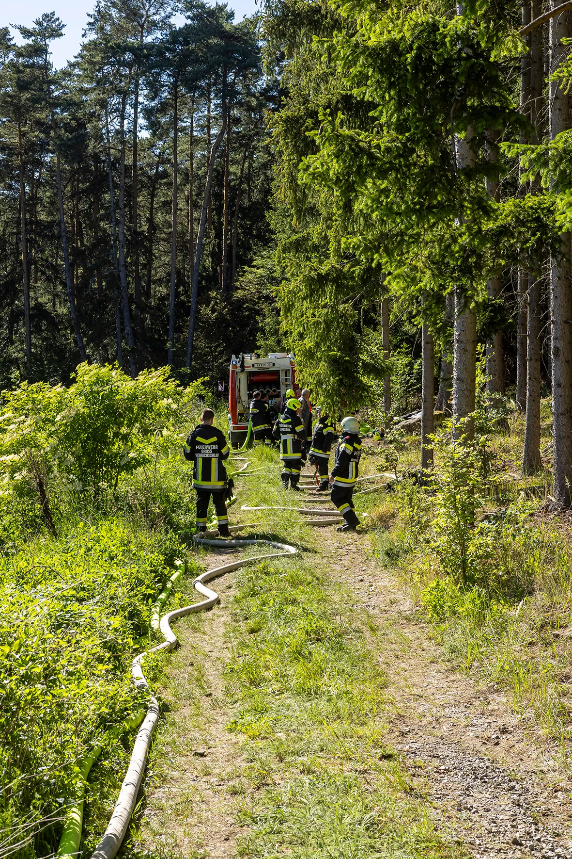 Gallery image 2 -  Fünf Feuerwehren im Einsatz - Waldbrand in Nöhagen 