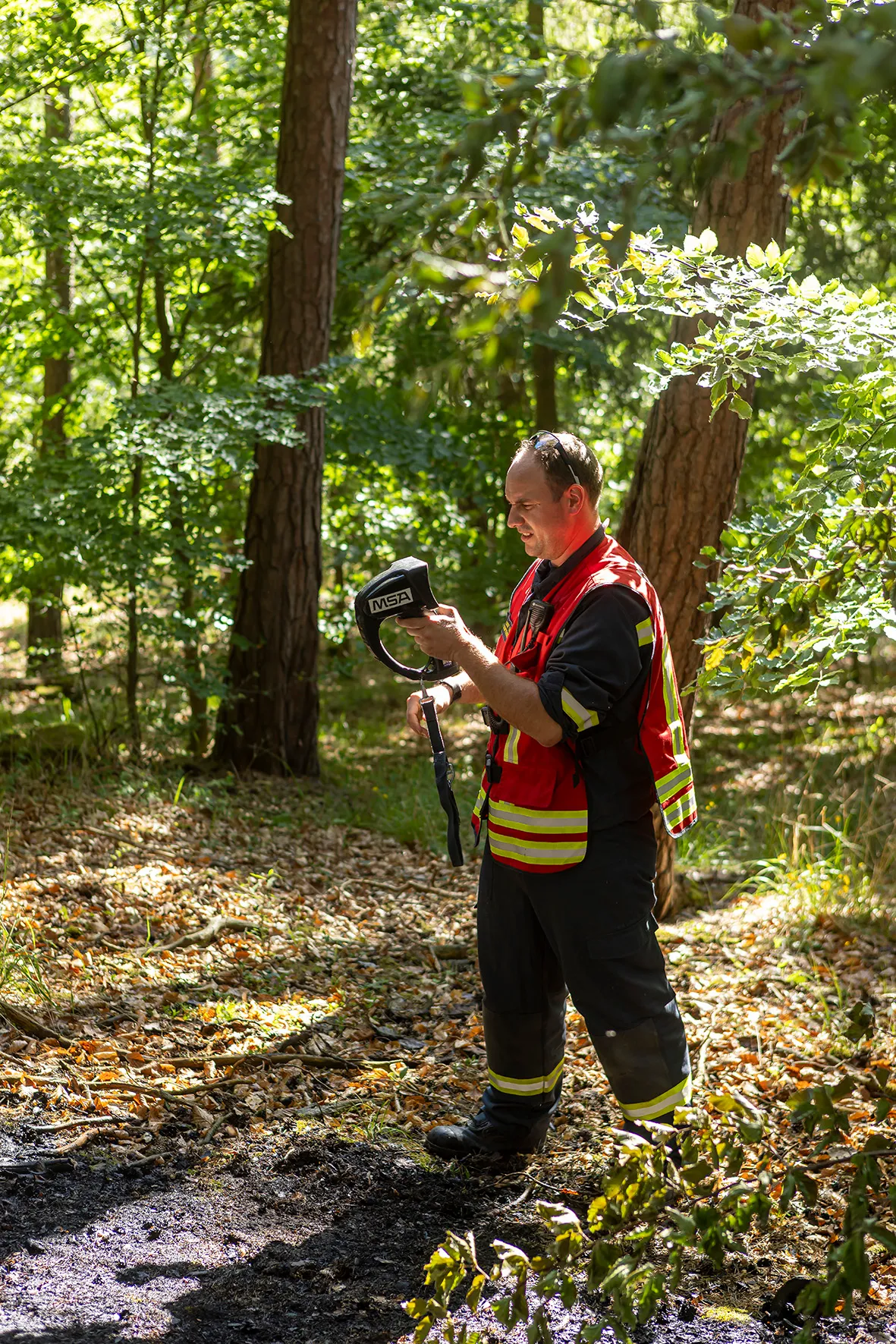 Gallery image 3 - Fünf Feuerwehren im Einsatz - Waldbrand in Nöhagen