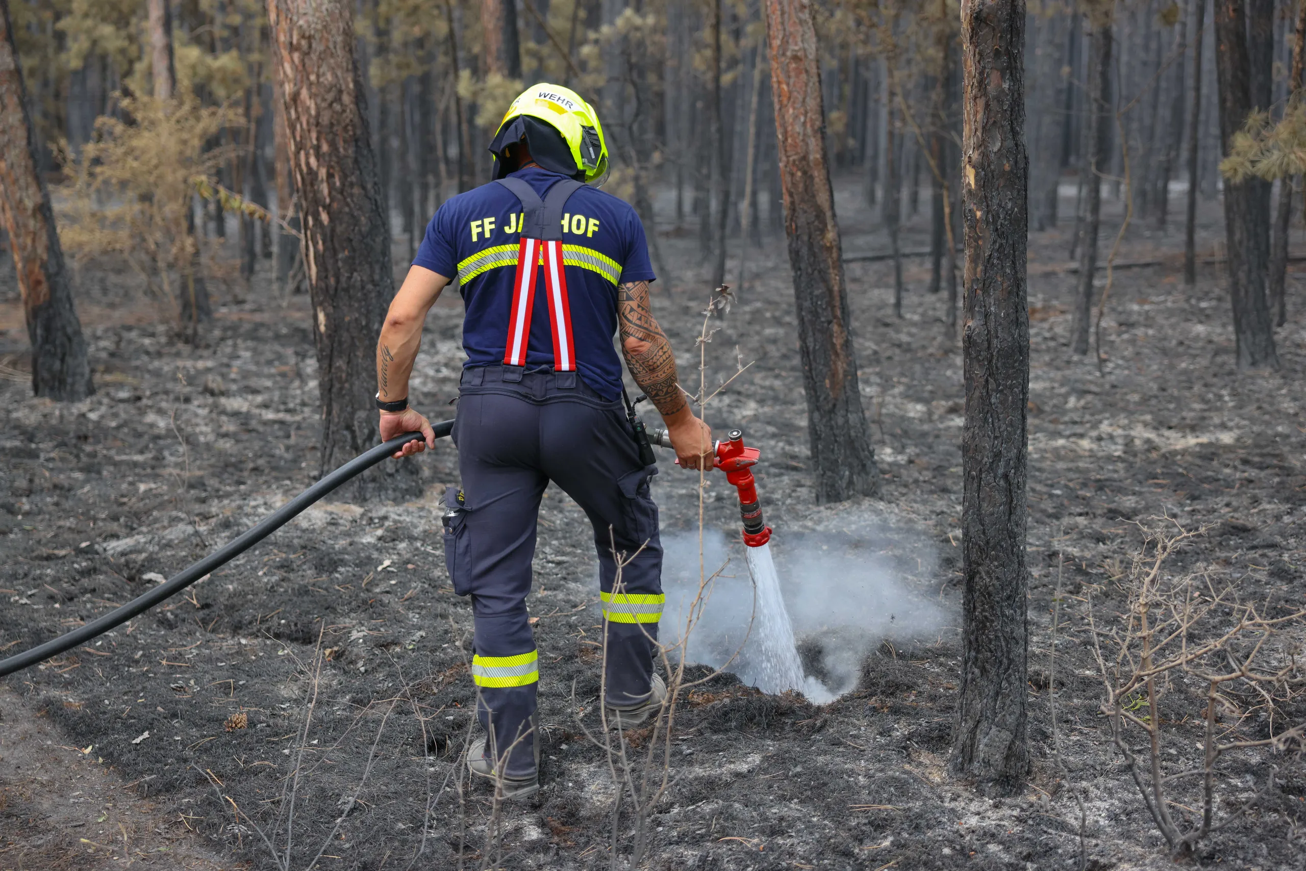 Gallery image 10 - KHD-Einsatz in St. Egyden am Steinfelde (Bez. Neunkirchen)