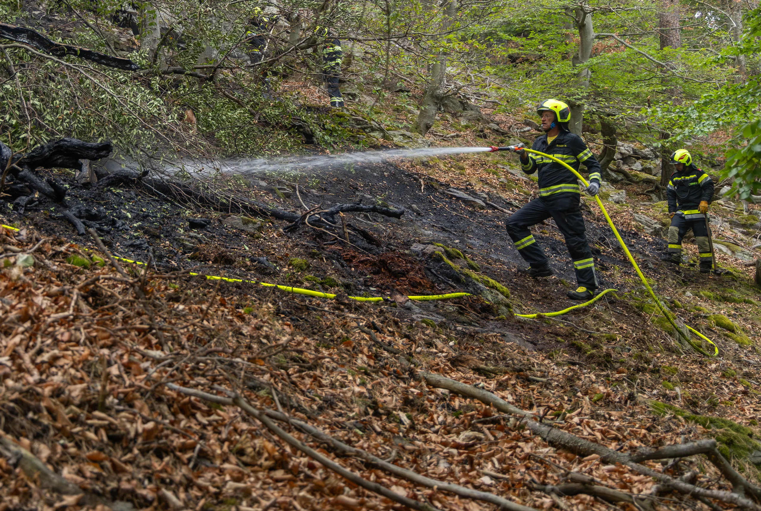 Gallery image 6 - Waldbrand in Dürnstein rasch unter Kontrolle