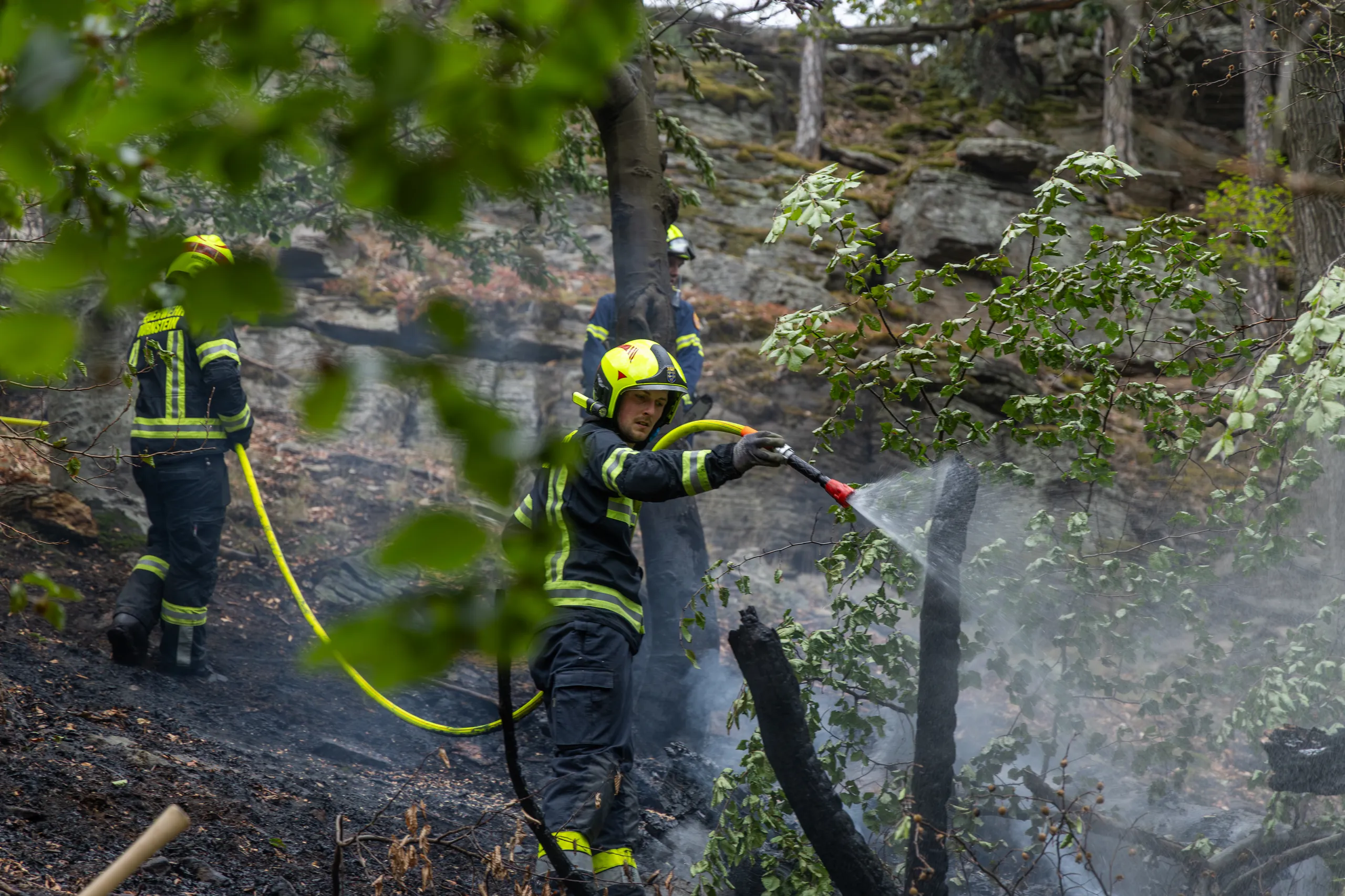 Gallery image 8 - Waldbrand in Dürnstein rasch unter Kontrolle 