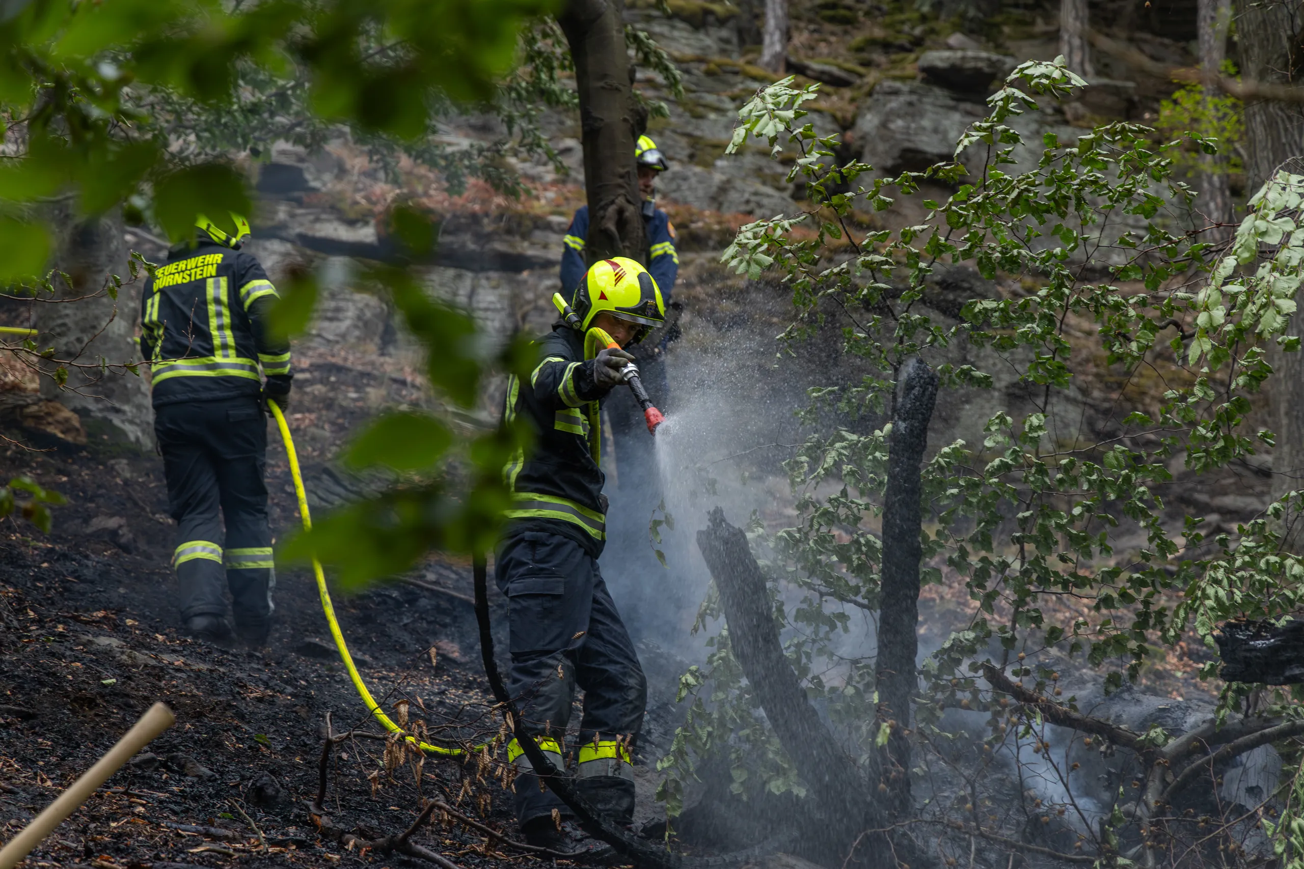 Gallery image 9 - Waldbrand in Dürnstein rasch unter Kontrolle