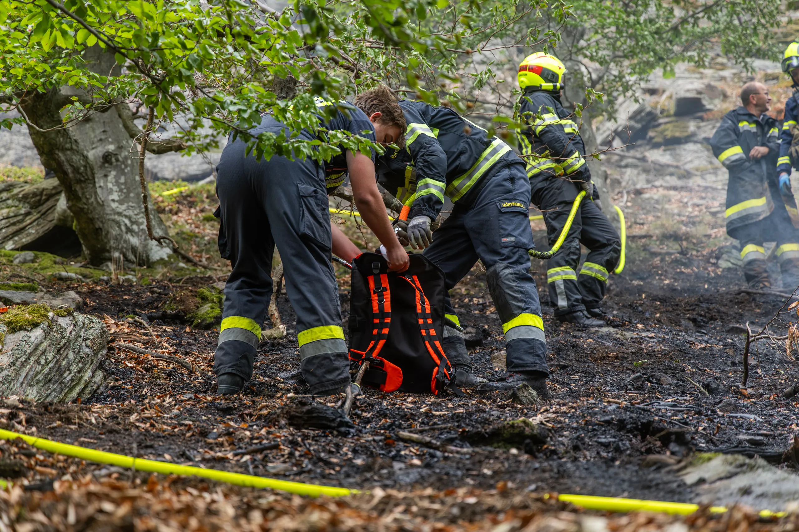 Gallery image 10 - Waldbrand in Dürnstein rasch unter Kontrolle 