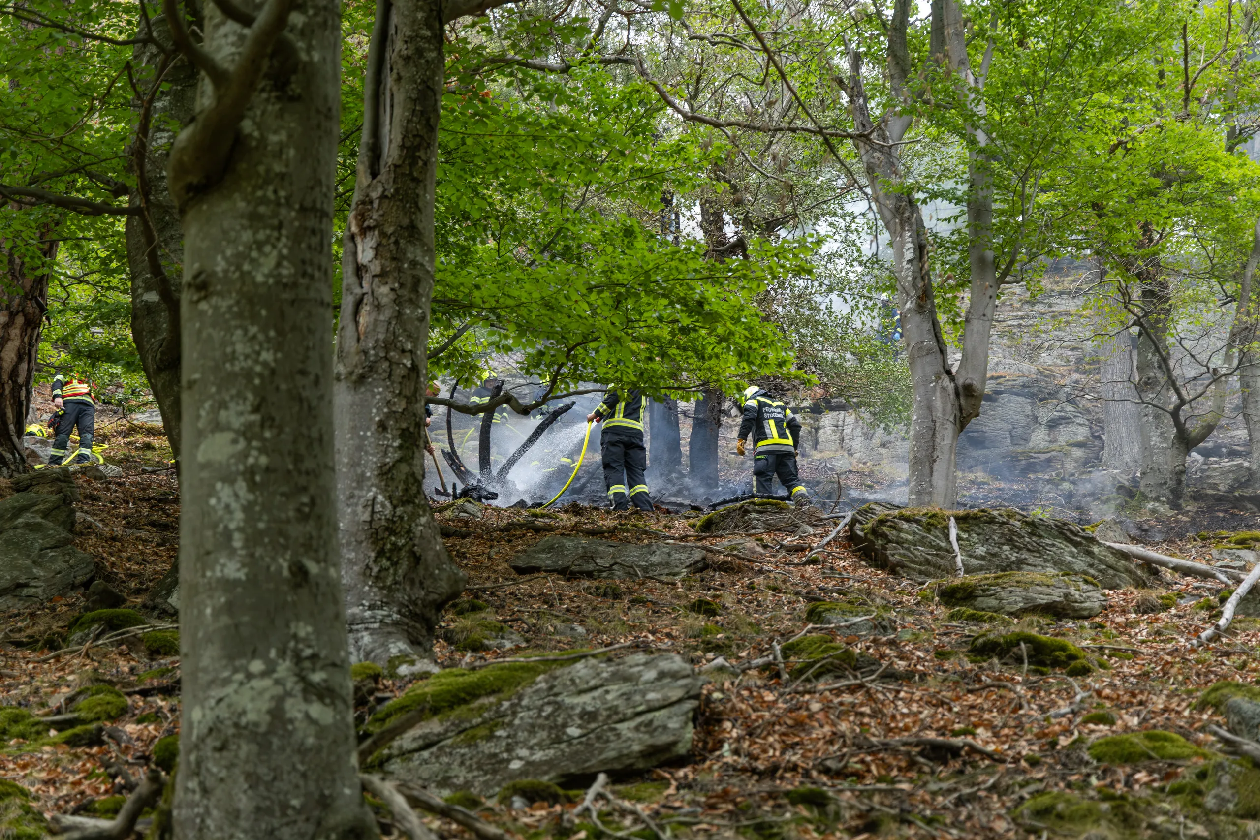 Gallery image 3 - Waldbrand in Dürnstein rasch unter Kontrolle 