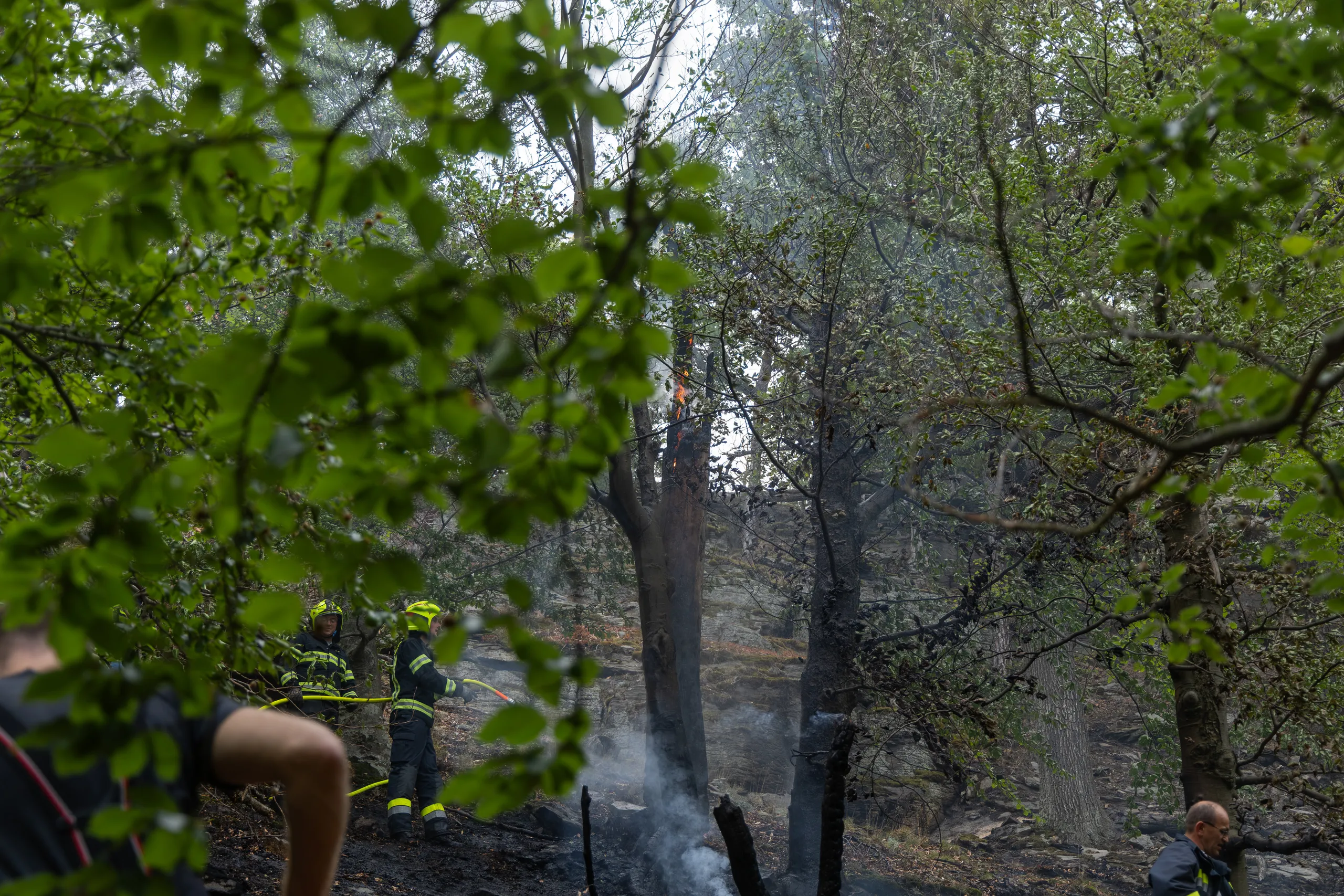 Gallery image 4 - Waldbrand in Dürnstein rasch unter Kontrolle