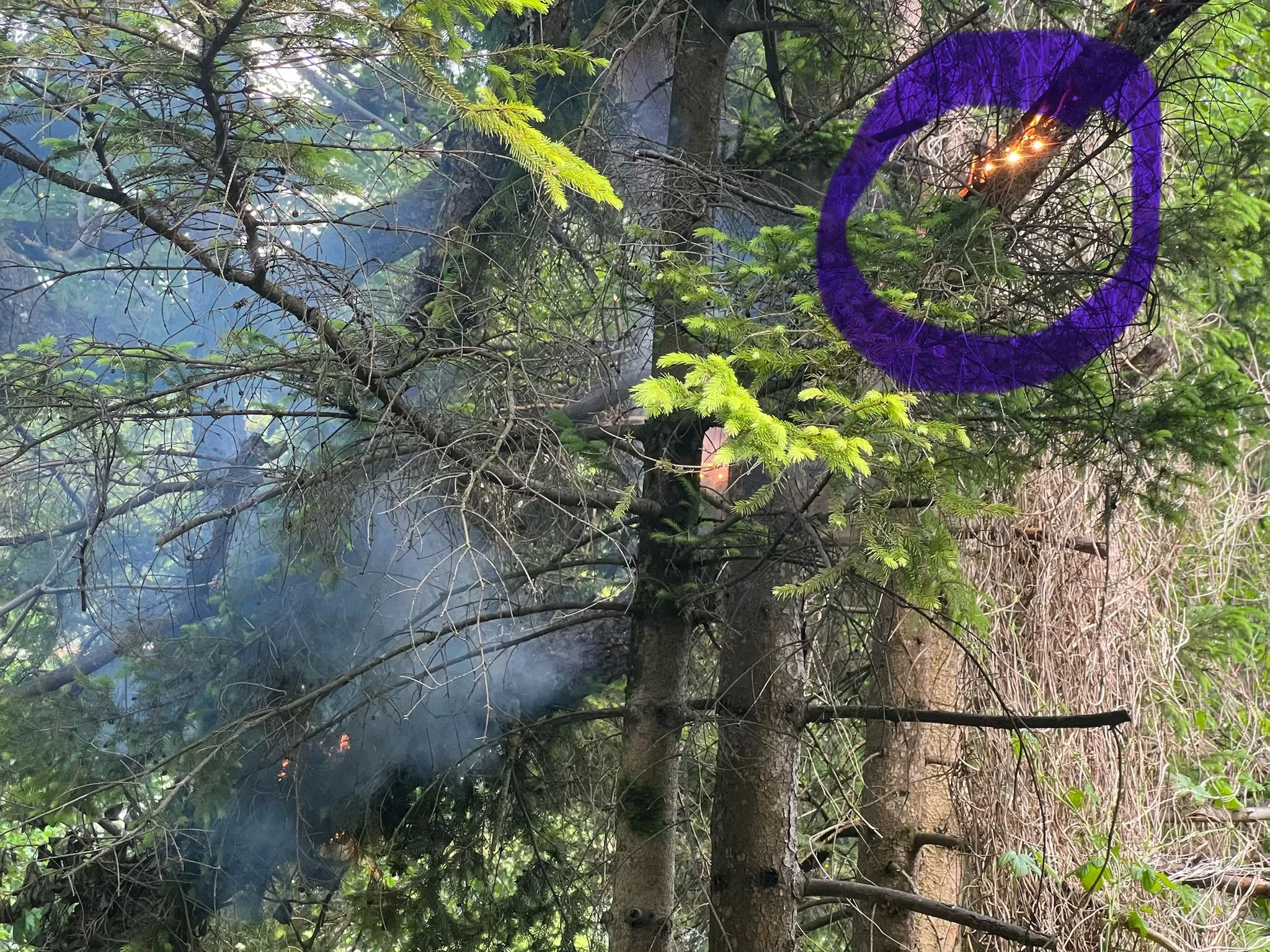 Gallery image 14 - Trafobrand in Gutenstein-Vorderbruck