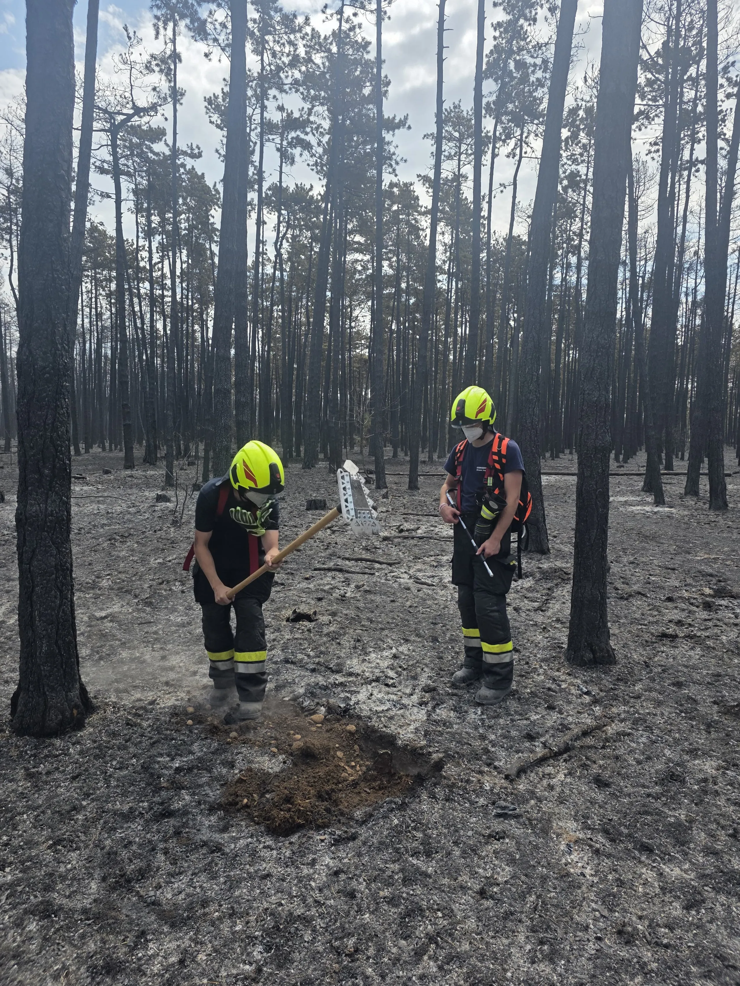 Gallery image 1 - KHD-Einsatz im Föhrenwald – FF Droß im Einsatz