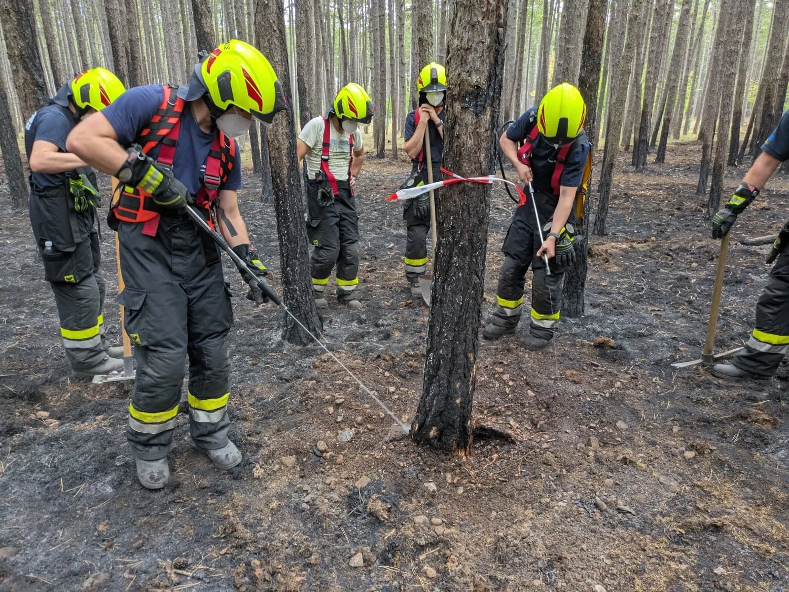 KHD-Einsatz im Föhrenwald – FF Droß im Einsatz
