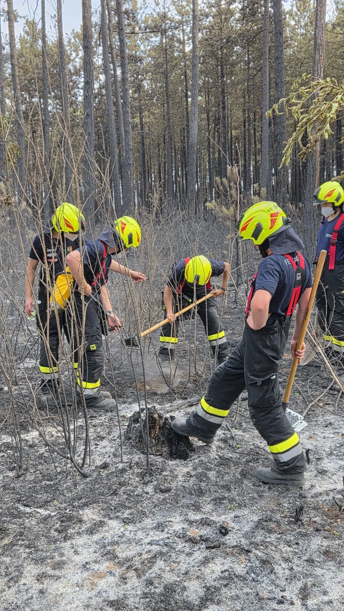 Gallery image 3 - KHD-Einsatz im Föhrenwald – FF Droß im Einsatz
