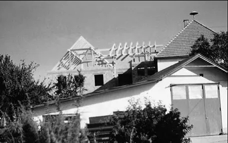 1989: Zubau