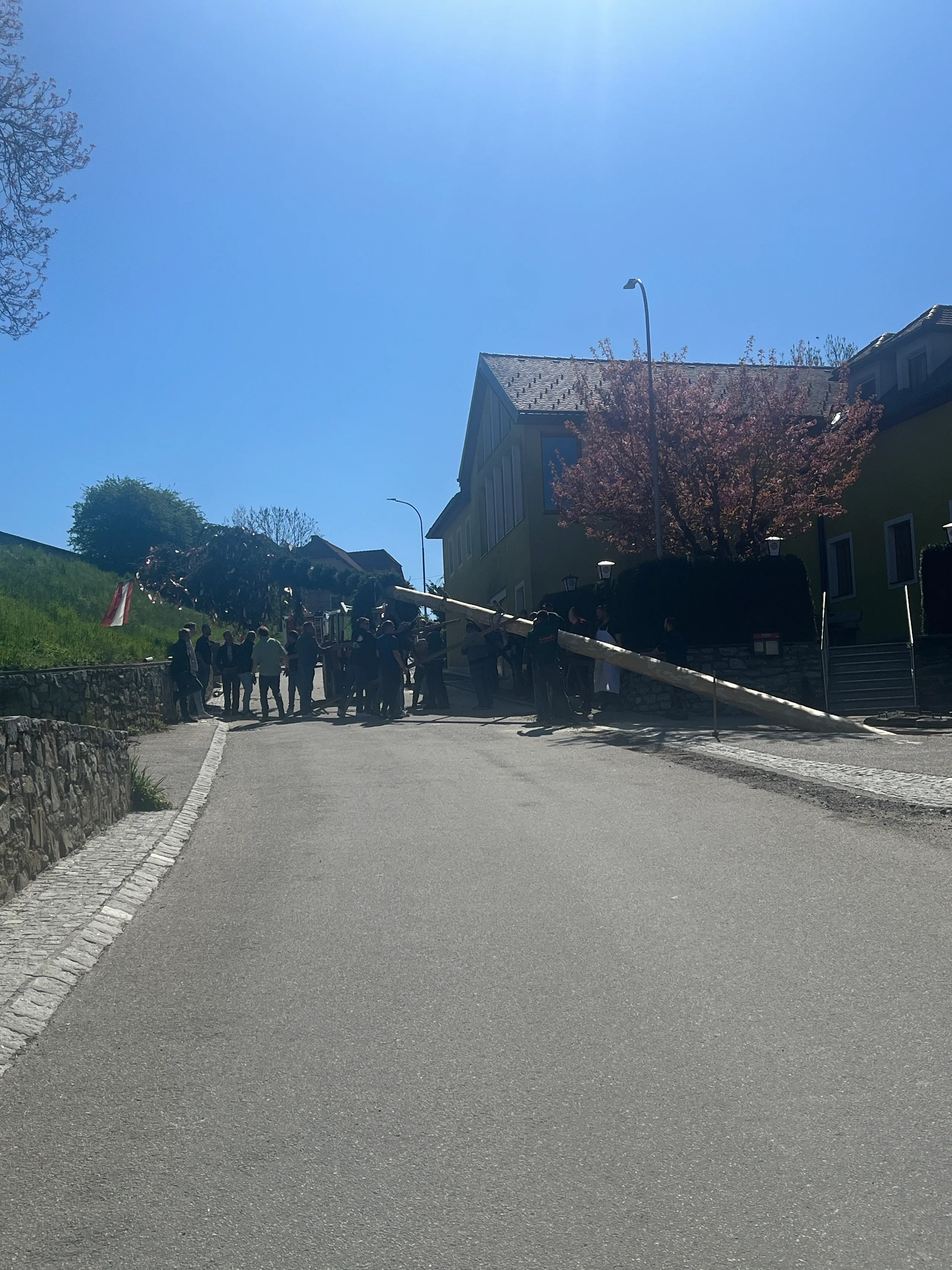 Gallery image 1 - Maibaumaufstellen 2025