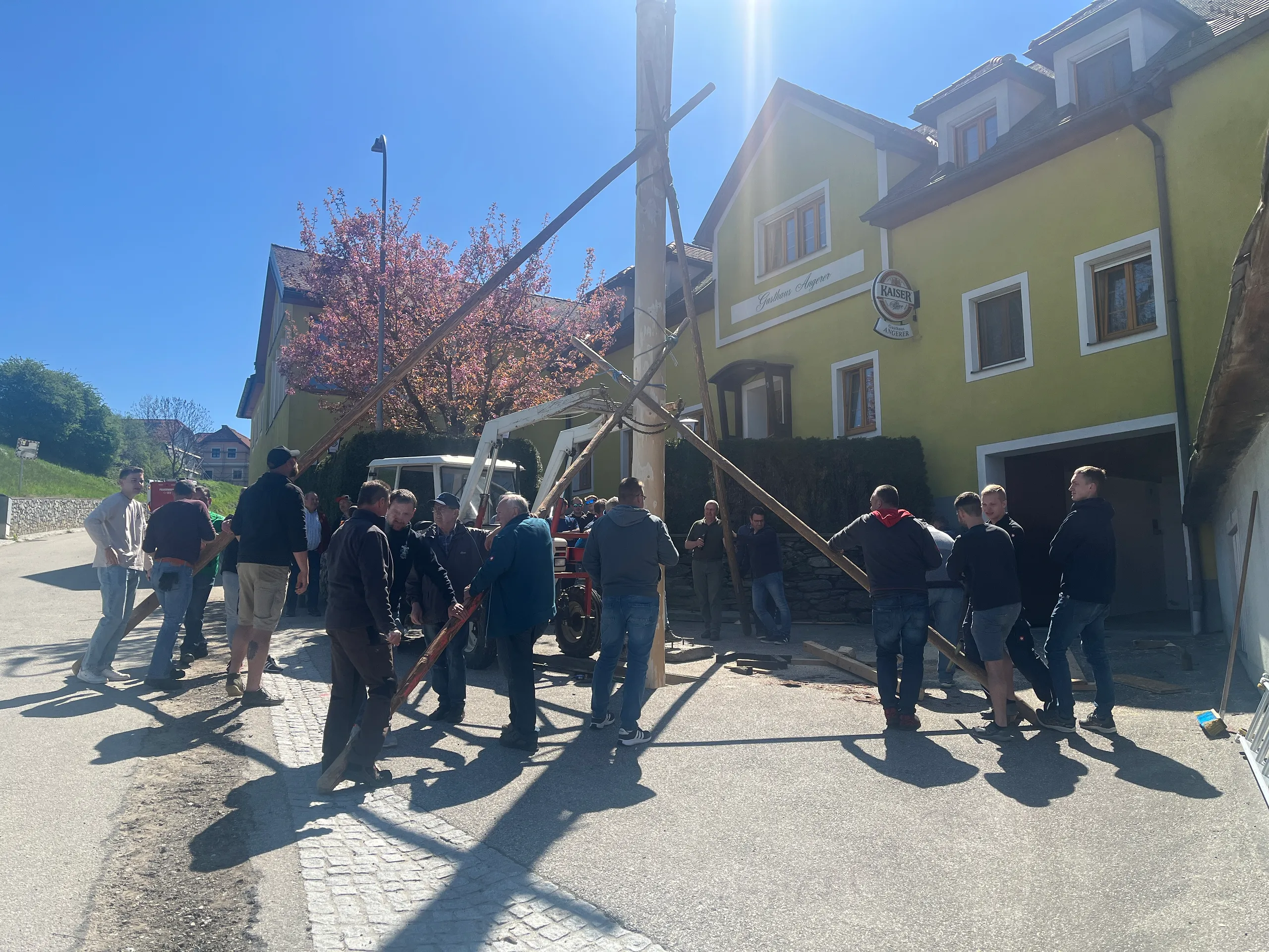 Gallery image 2 - Maibaumaufstellen 2025
