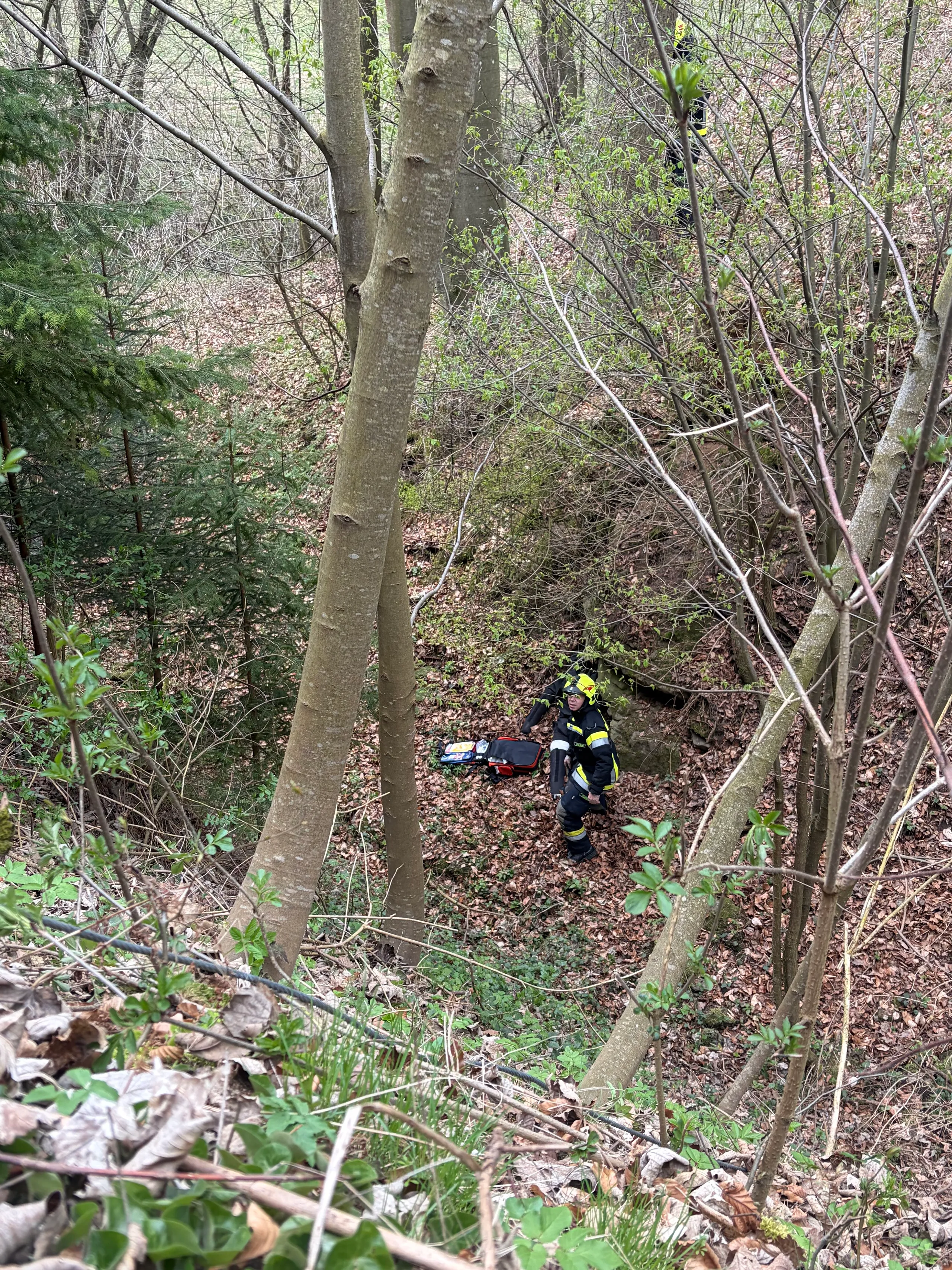 Gallery image 1 - Übung: Personensuche mit Menschenrettung