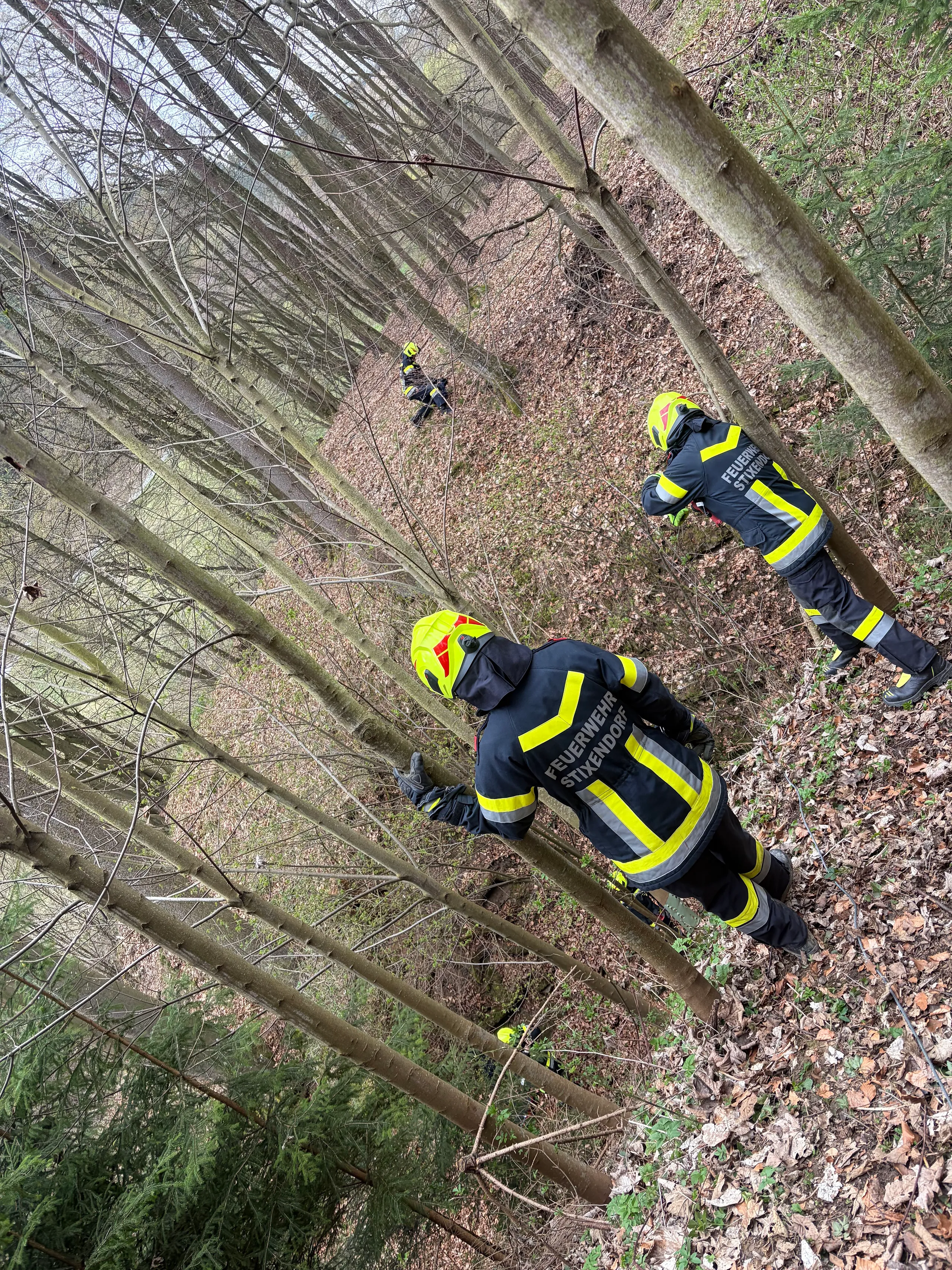 Gallery image 2 - Übung: Personensuche mit Menschenrettung