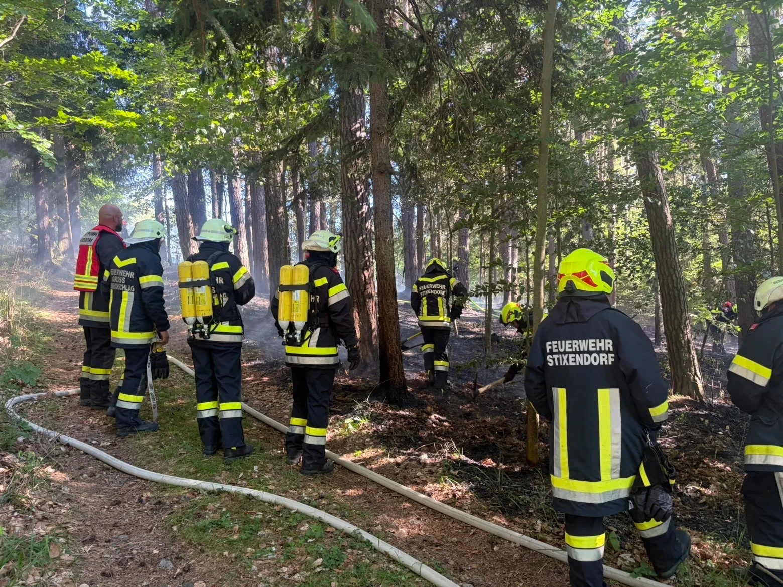 Einsatz: Waldbrand bei Nöhagen