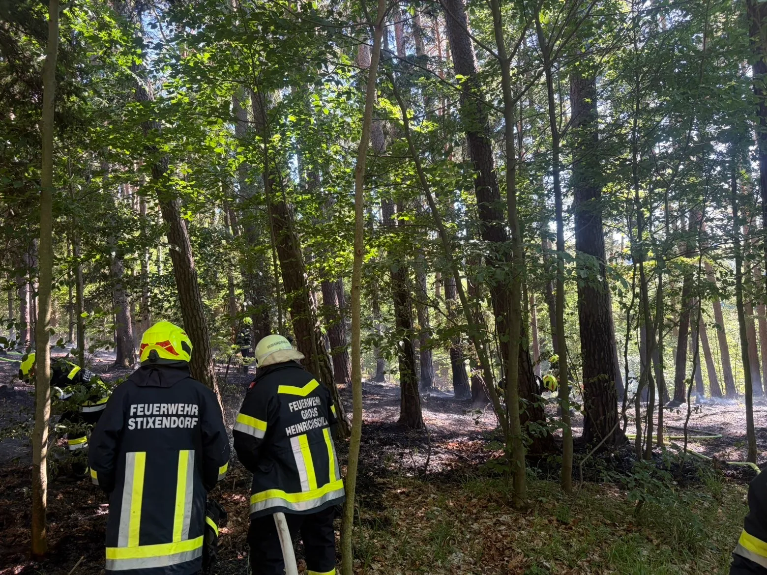 Gallery image 3 - Einsatz: Waldbrand bei Nöhagen