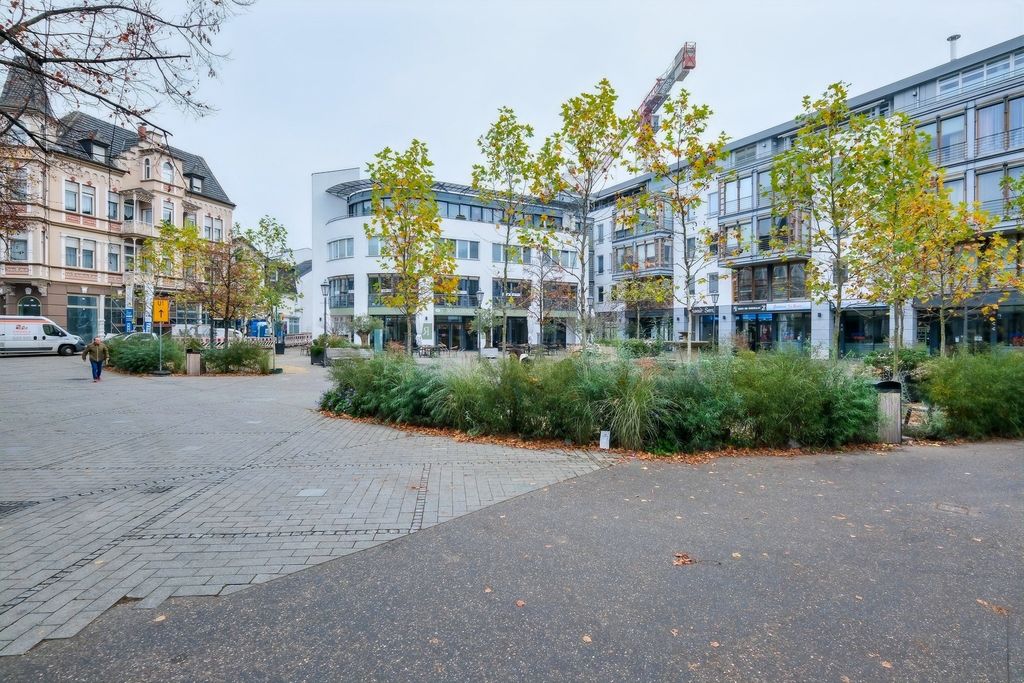 Urban square with trees, shrubs, modern and older buildings in the background.
