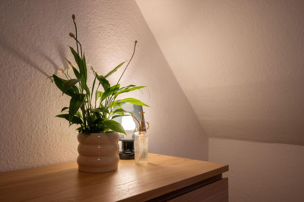 A houseplant in a beige rounded pot on a wooden table next to a small lamp and a plastic spray bottle against a slanted wall.