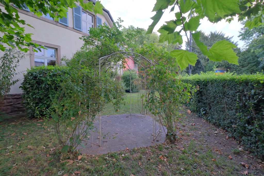 A rose arch with green rose plants in front of a residential house with blue shutters, surrounded by bushes and trees.