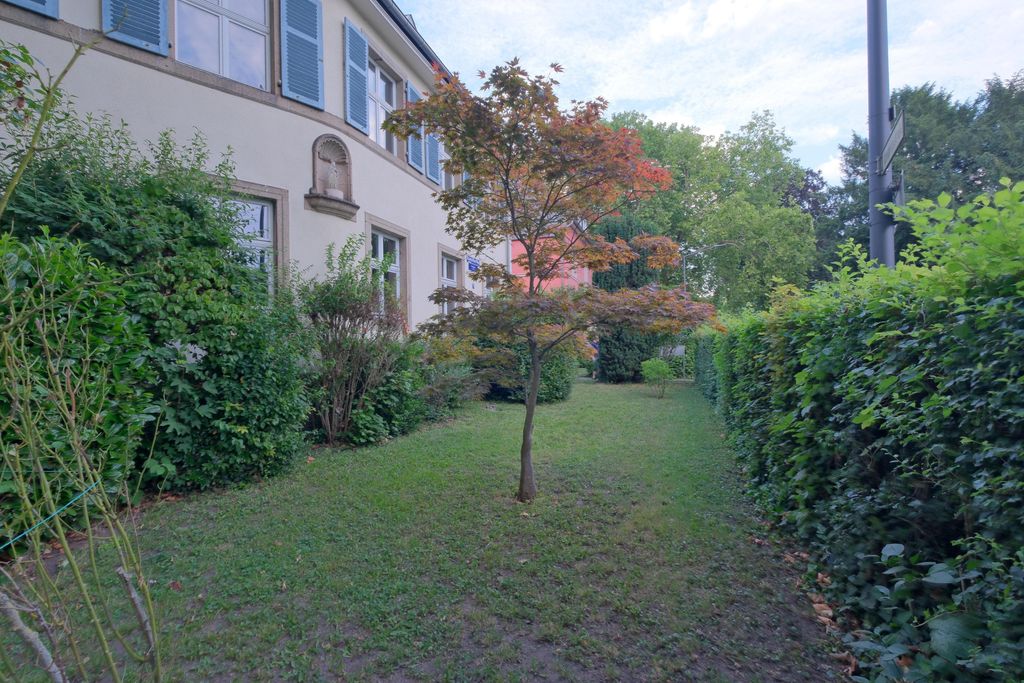 A small tree with autumn-colored leaves in a garden between bushes and a house facade with blue shutters.